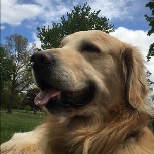 Meet your Posher, Devan